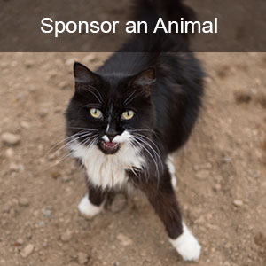 sponsor an animal